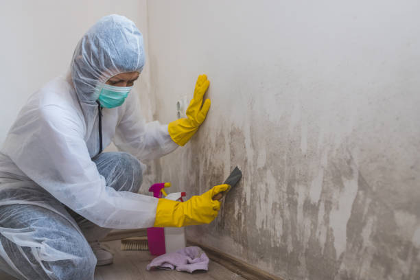 Best Residential Mold Inspection & Testing  in Barclay, NJ